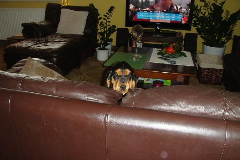 Art_25.1.2010 (6).JPG